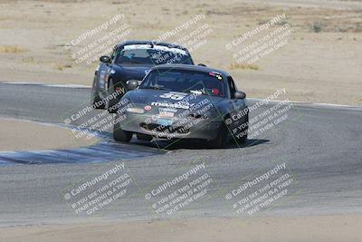 media/Nov-04-2023-CalClub SCCA (Sat) [[cb7353a443]]/Group 3/Cotton Corners (Race)/